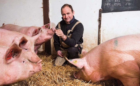 Increasing technology improves profitability on Aberdeenshire pig farm