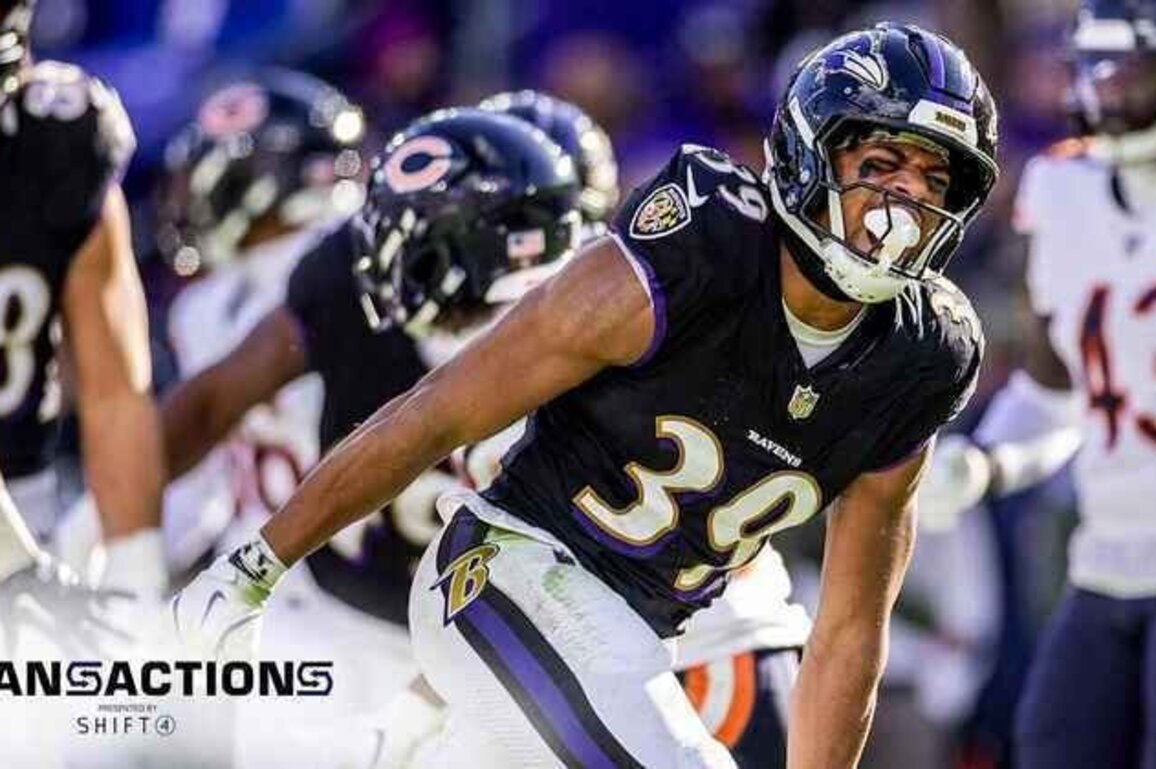 Ravens Elevate Defensive Lineman, Safety to Face Dolphins