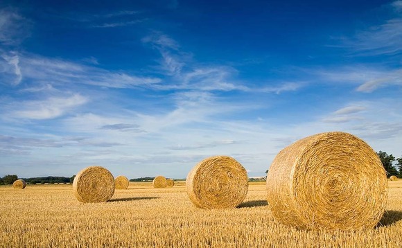 Straw prices rise on poor yields
