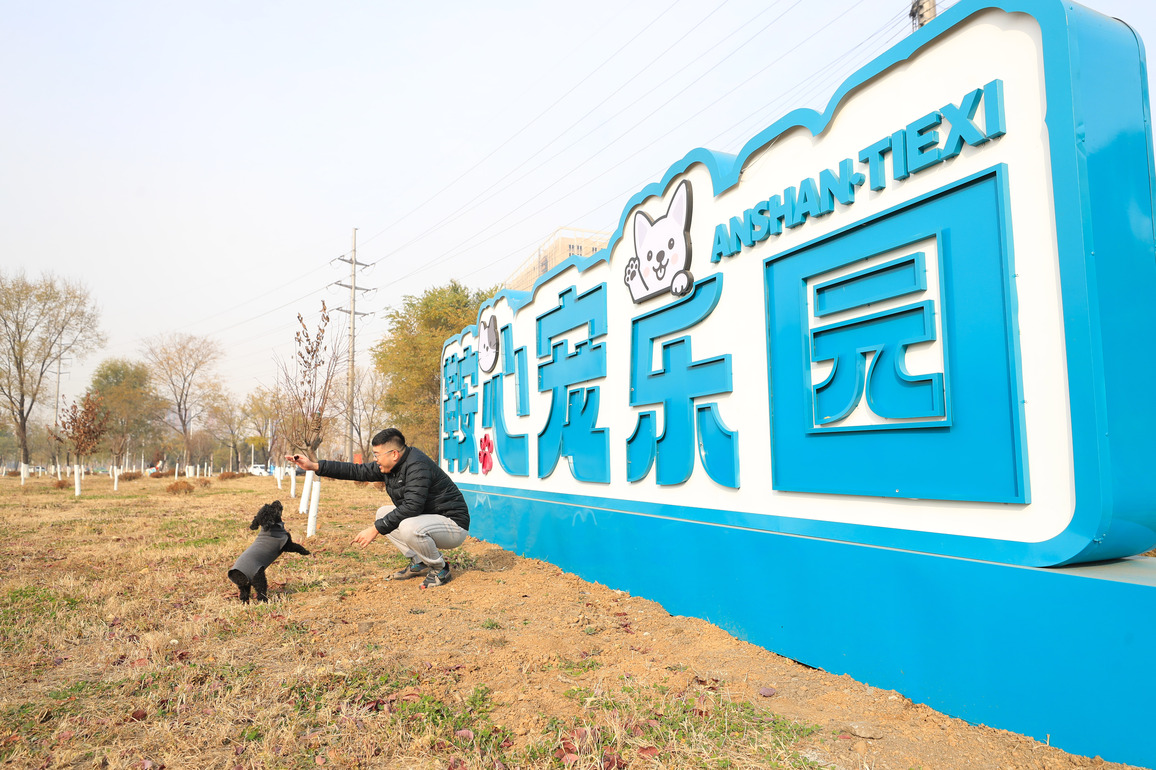 CHINA-LIAONING-ANSHAN-PET ECONOMY (CN)