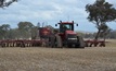  Rabobank has forecast a near record winter crop planting. Picture Mark Saunders.