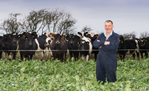 Mixed-breed approach delivers for organic Scottish dairy herd
