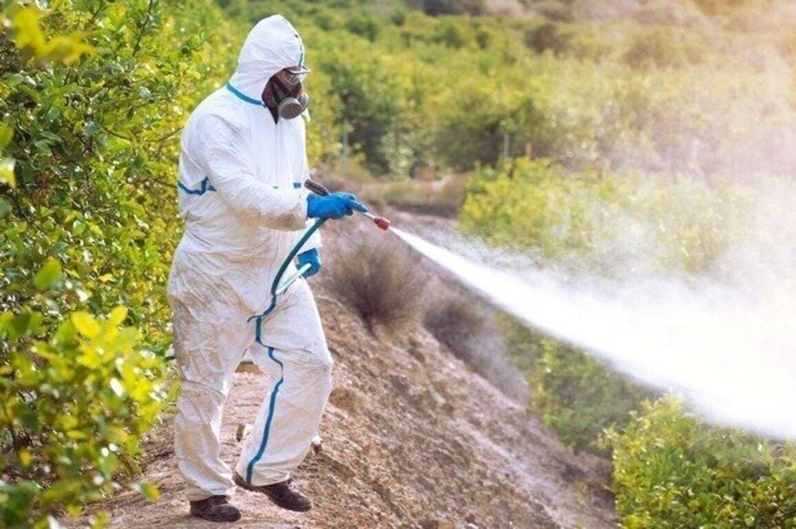 Expanding H-2A farmworker program could increase health, safety risks