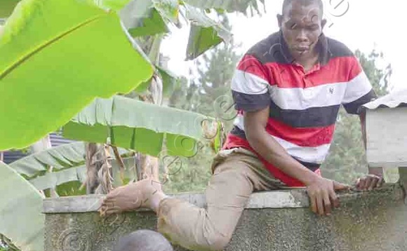 Kakooza ng’alaga bwe yabuuse ekikomera. Kakooza ng’alaga bwe yabuuse ekikomera.