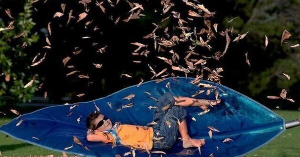 Winteris on its way, but autumn isn't 'leaving' just yet