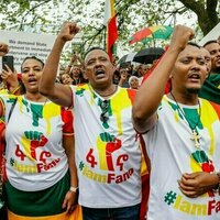 Ethiopia's civil war: what's behind the Amhara rebellion?