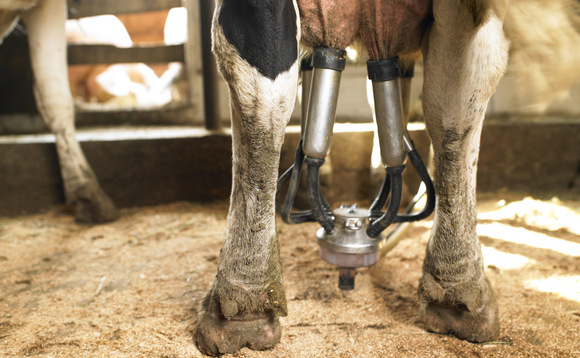 Growtheum backs Indonesia's Kin Dairy