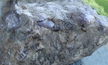 Lepidolite from New Age's ground in Manitoba