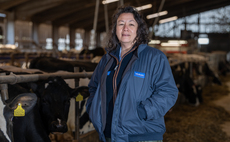 Partner Insight: Elevating livestock performance with trace mineral injections
