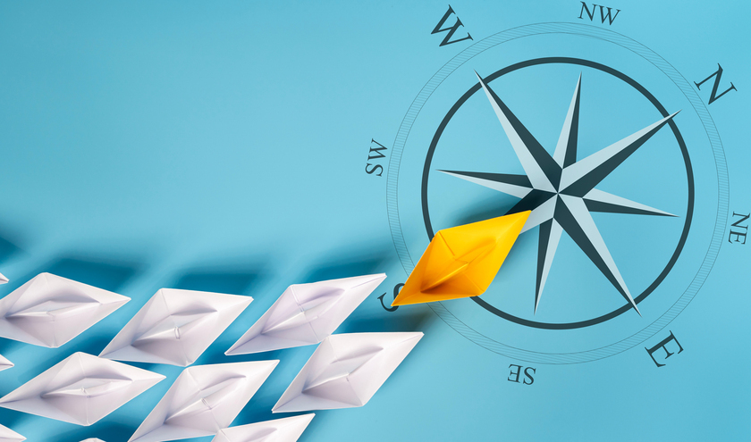   © jittawit21 / Shutterstock   