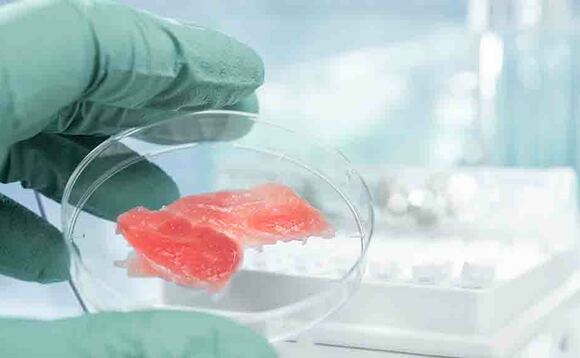 New law set to make gene-edited food available in England by 2023
