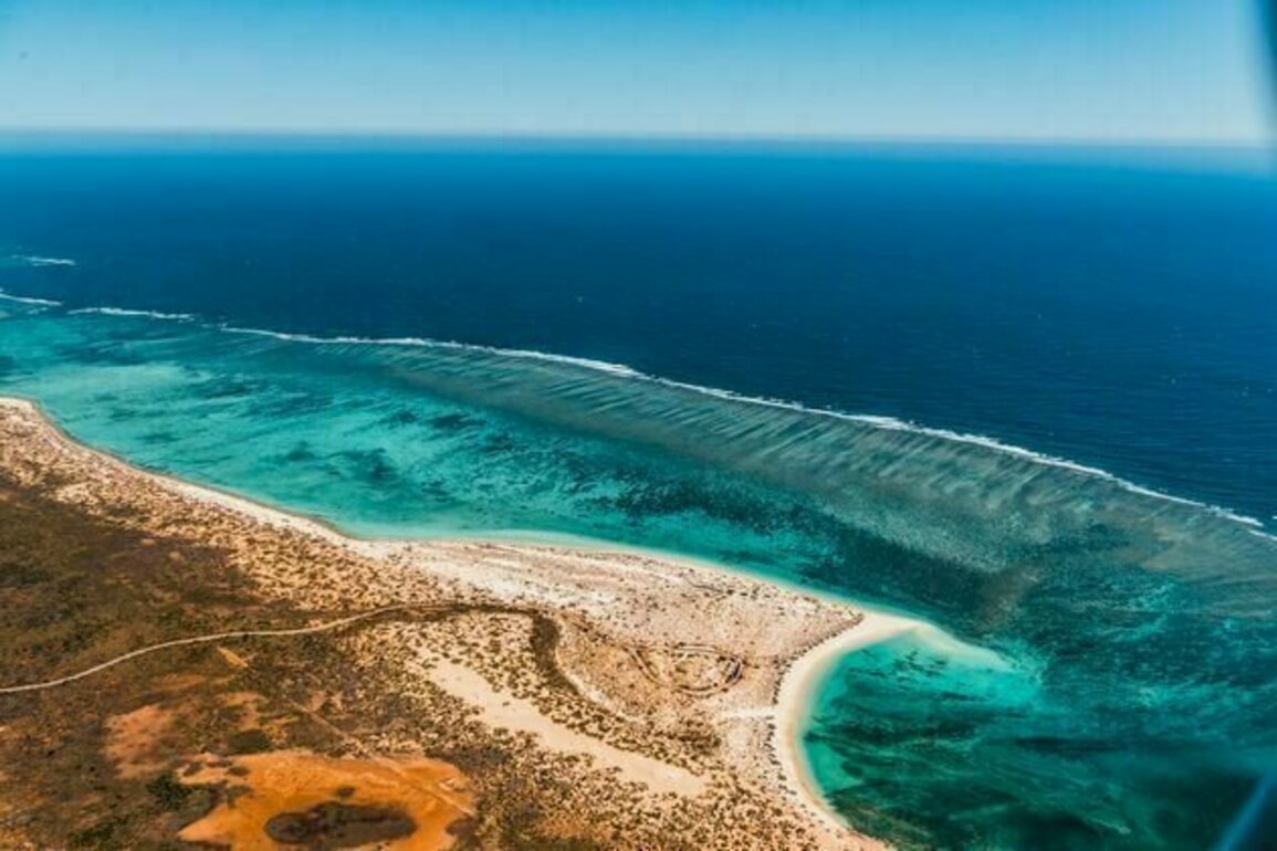 Synchronised bleaching: Ningaloo and the Great Barrier Reef are bleaching in unison for the first time