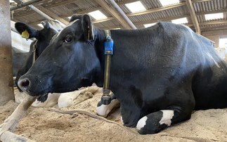 Water company launches emergency supply support for livestock farmers