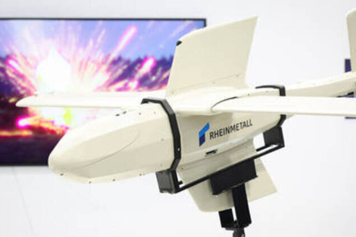 German kamikaze drone 'not dangerous even to inflatable tanks' - media