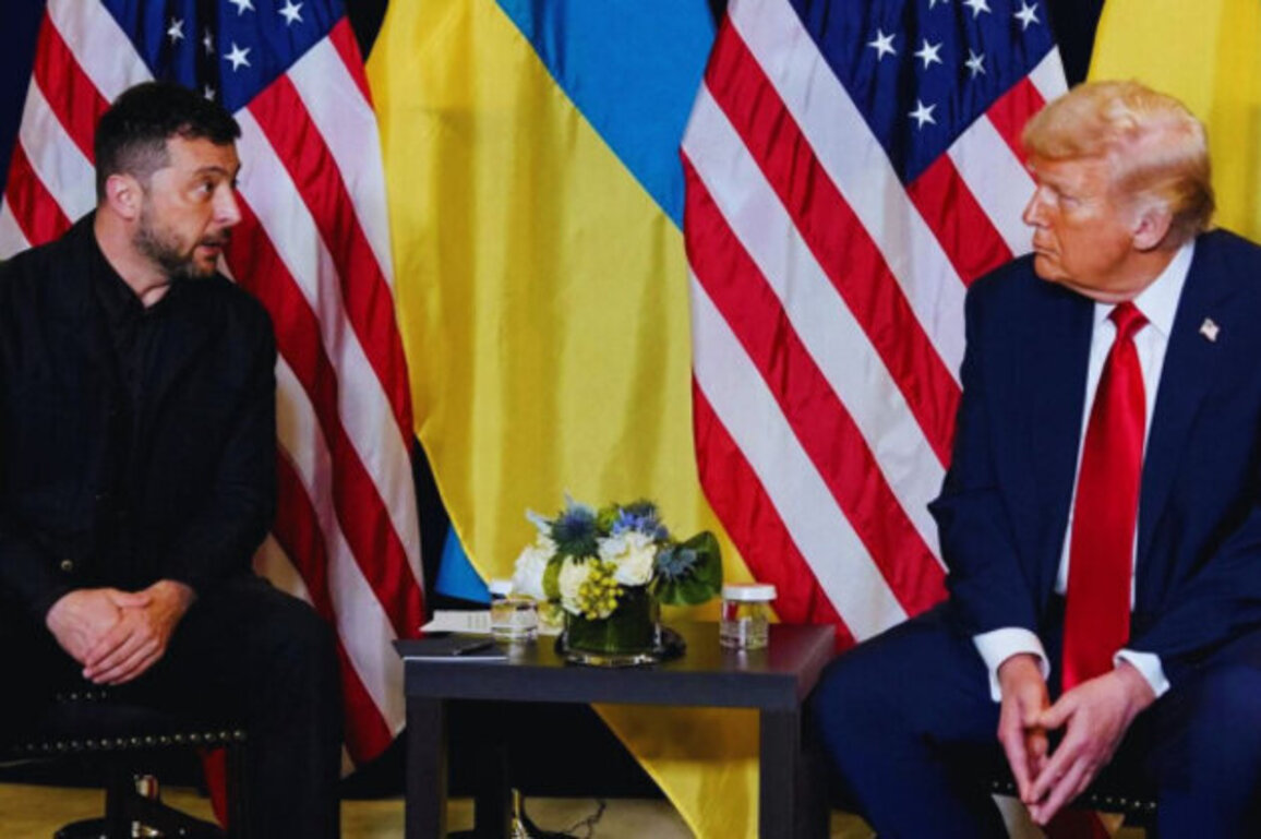 Trump Warns Zelensky: Accept the Plan or Fight On Alone