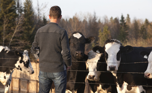 OPINION: Yet another disease for farmers to contend with  