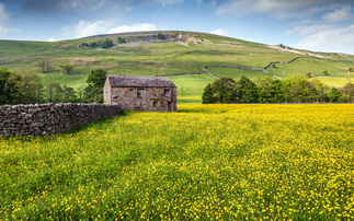 £500 million to be allocated to the future of Landscape Recovery projects across the country