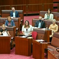 Labor and the Greens likely to gain Senate seats at the election