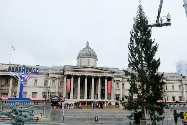 Norway&#039;s Christmas gift to Londoners leaves some perplexed