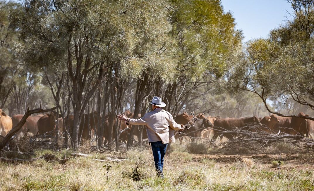Federal Member for Kennedy, Bob Katter, has expressed extreme disappointment in response to the recent Federal Court ruling regarding the 2011 live cattle export ban. 