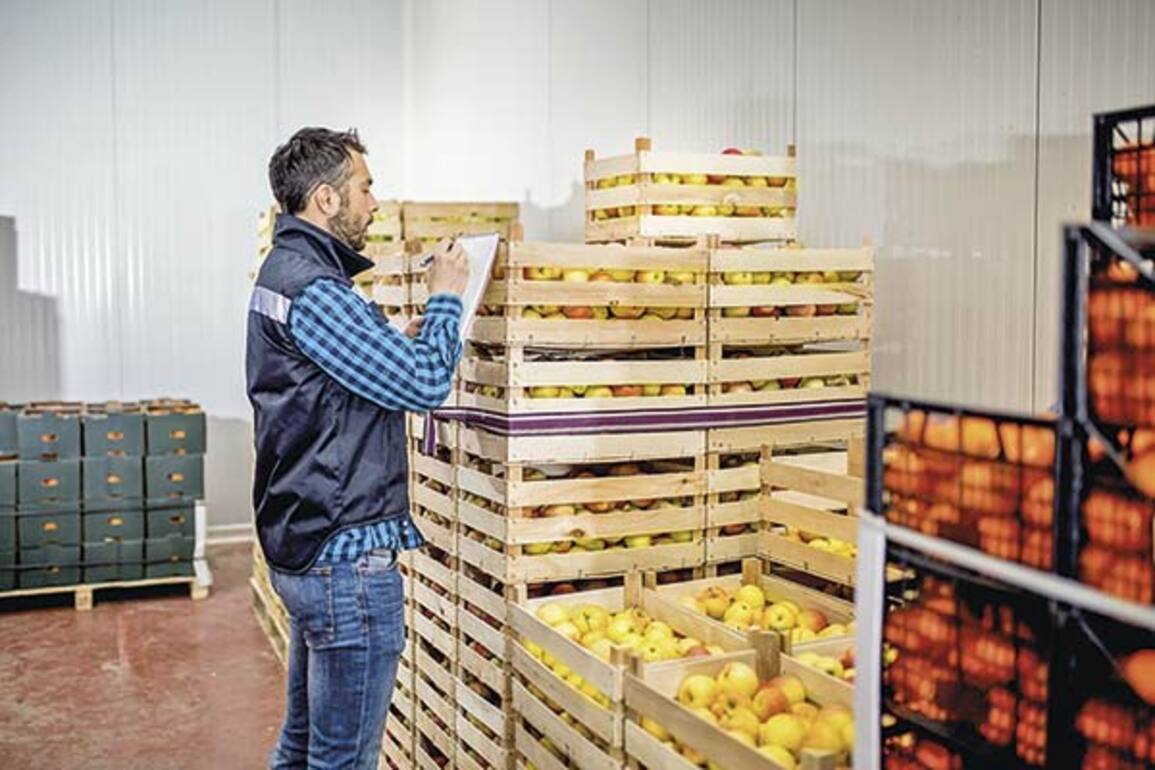 Banca deja de apostar por productores de fruta y crditos caen 32% en cinco aos - Diario Financiero