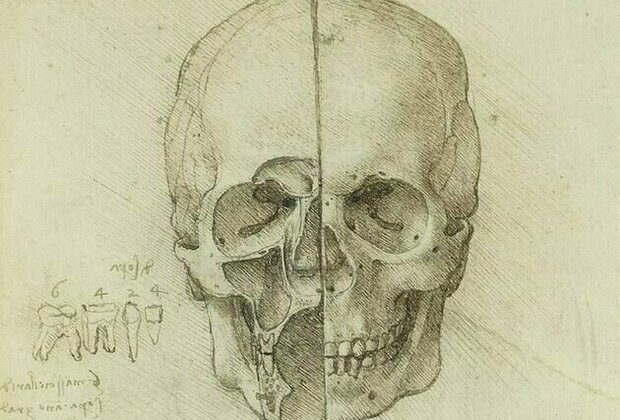 Leonardo da Vinci's incredible studies of human anatomy still don't get the recognition they deserve