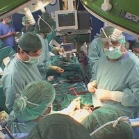 Pig kidney milestone: Patients thrive as U.S. trials get underway