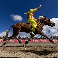 InXizang | Nagqu holds horse racing festival to boost traditional sports