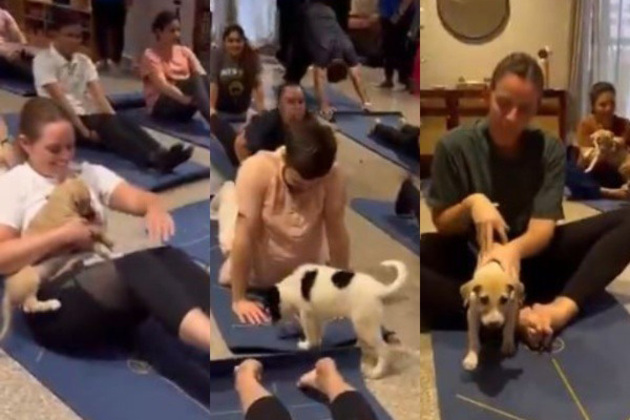 "Rolled out our mats for wholesome puppy yoga session": Australian High Commission celebrates Int'l Yoga Day in unique way