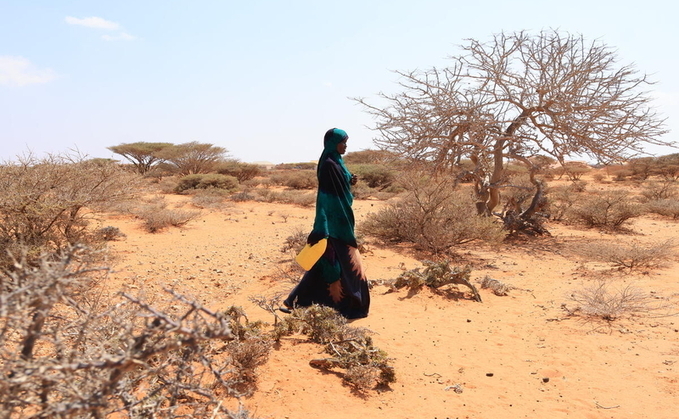 Credit: United Nations World Food Programme (WFP) 