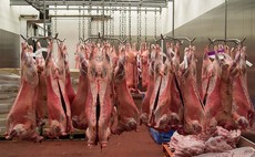 Eville and Jones buys Meat and Livestock Commercial Services (MLCSL)