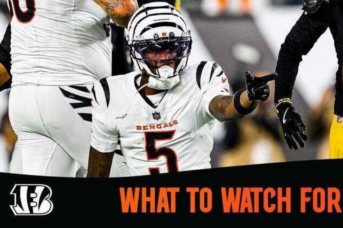What to Watch For | Jets vs Bengals Week 8