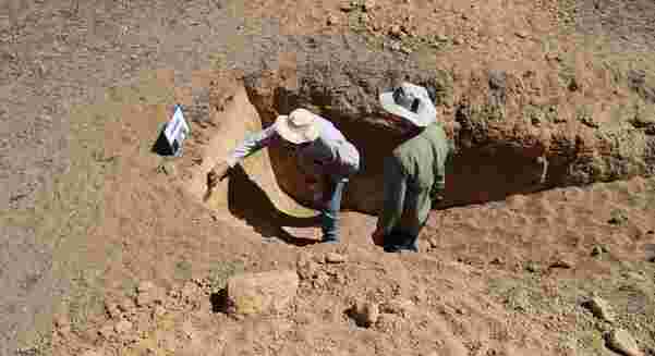 A new DPIRD led collaboration with grower groups will work with landholders to reduce the risk of wind erosion on properties with sandy soils.