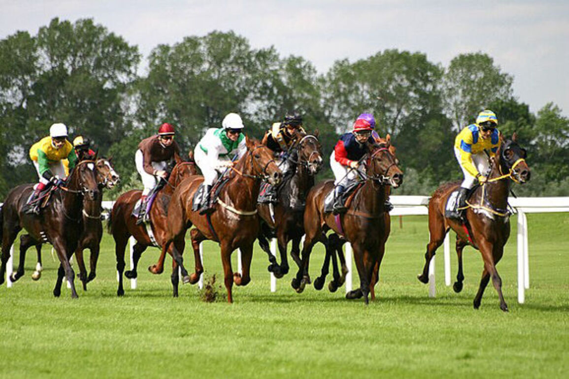 Historic Thurles Racecourse in Ireland ceases operations