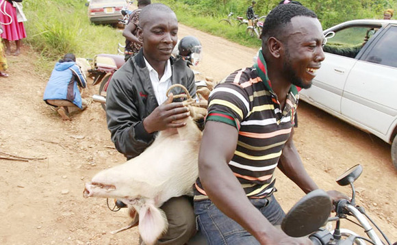 Abasajja nga batwala omugabo gwabwe ku pikipiki. Abasajja nga batwala omugabo gwabwe ku pikipiki.