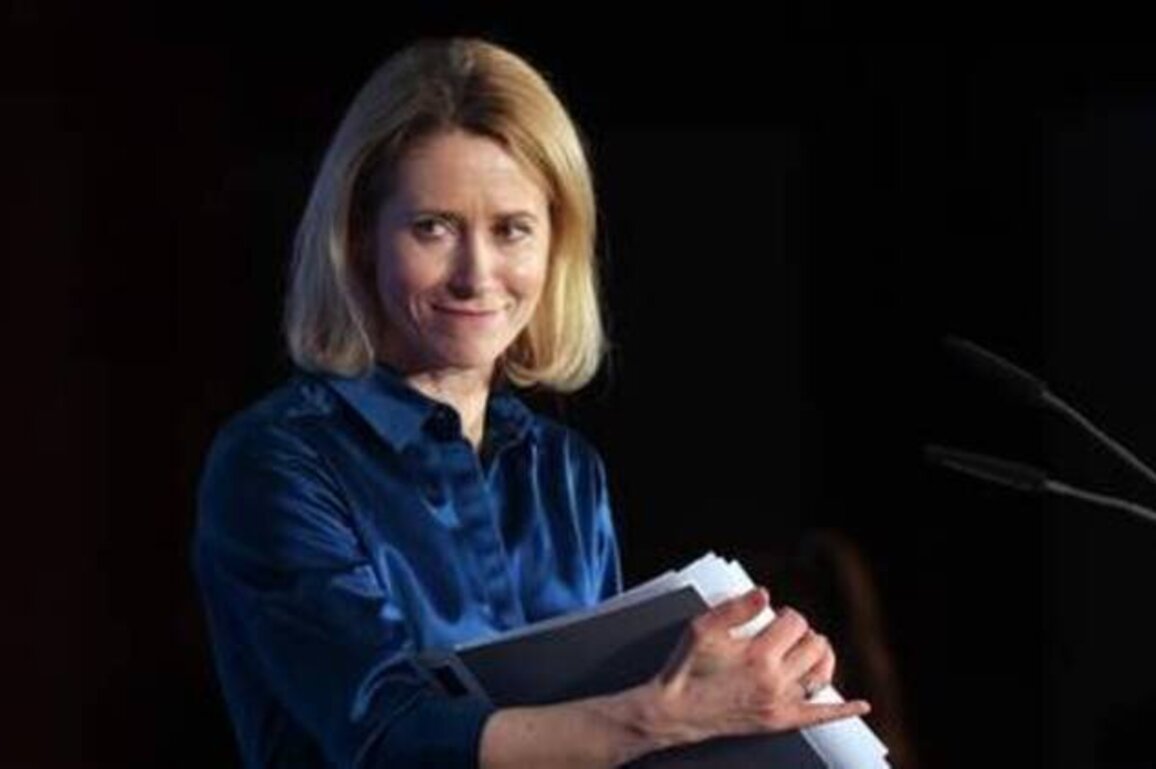 EU's Kallas promises to be 'very smart' by end of term