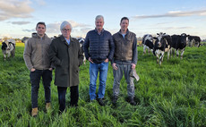 Inside a Chilean dairy farm: Smart budget planning for tight profit margins 