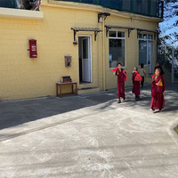 Namgyal Monastery offers prayers for Dalai Lama's long life, renowned actor Richard Gere joins in
