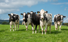 Prices rise but confidence remains low for dairy in 2024