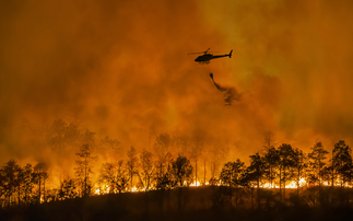 'Hydroclimatic whiplash' and the hottest year on record: How is climate change fuelling the California wildfires?