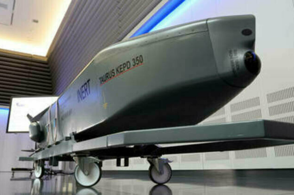 Intel reports will sober up incoming German chancellor on Ukraine missiles - SPD