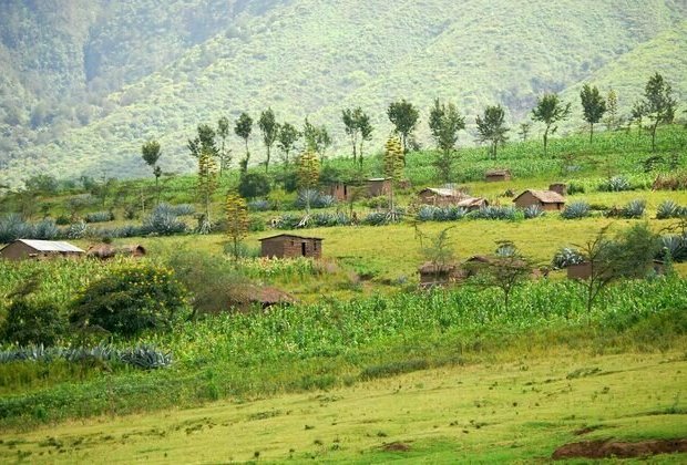 Kenya's goal to plant 15 billion trees should include farmers - study shows they are keen