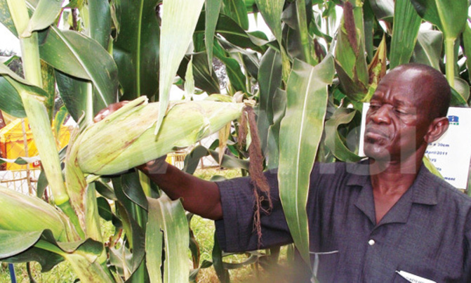 MPs to agric ministry: style up MPs to agric ministry: style up