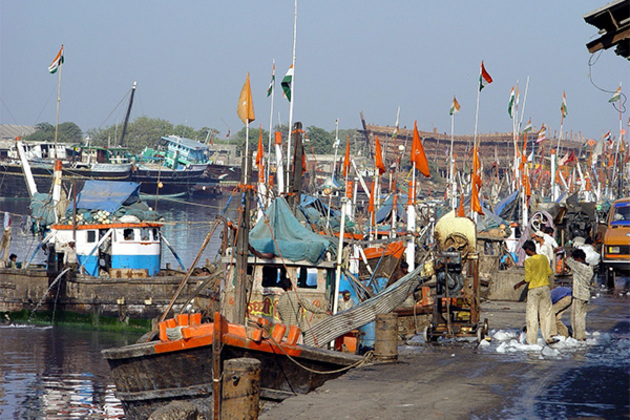 Rs. 50 crore central grant released to Gujarat under PMMSY, becomes second largest marine fish producer