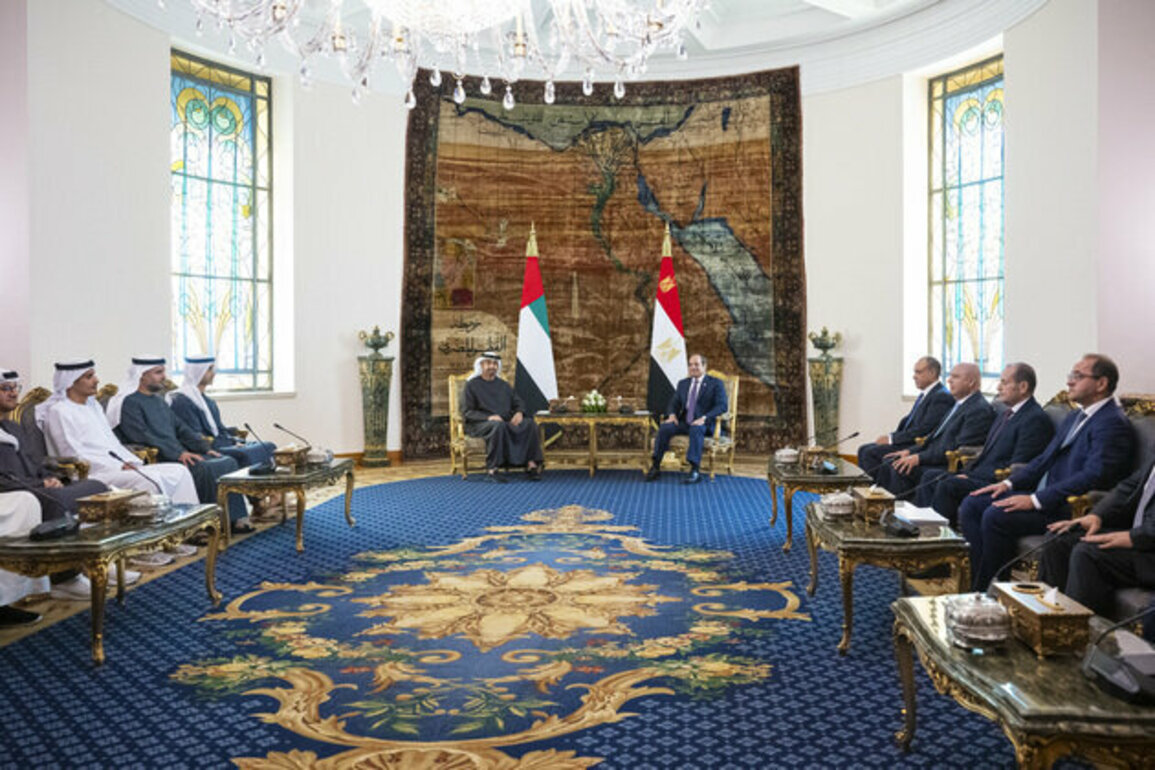 UAE, Egyptian Presidents meet in Cairo to discuss fraternal ties, regional developments