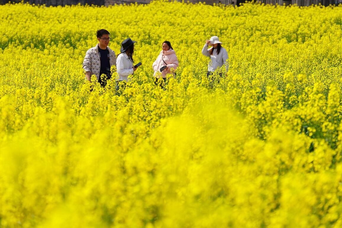 #CHINA-SPRING SCENERY (CN)