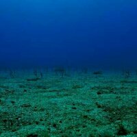 Seabed mining is becoming an environmental flashpoint - NZ will have to pick a side soon