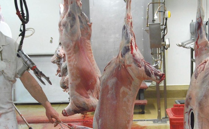 Fears Northern Ireland abattoirs and ports could be disrupted  by vet strike