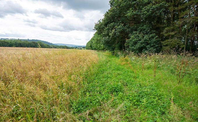 Arable tenders open for UK's 'first carbon negative estate'