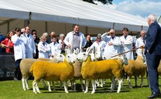 Massive fundraising effort launched to save Royal Highland Show